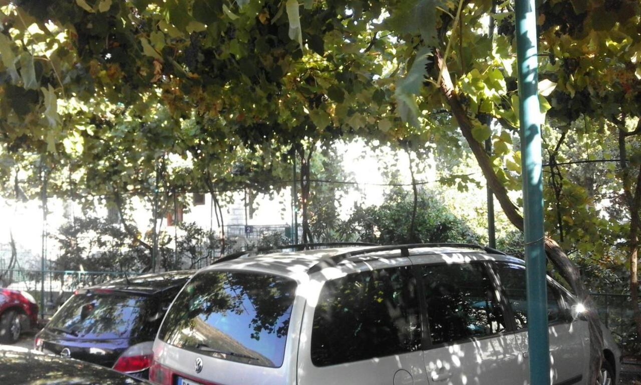 Apartments Jovana Petrovac Exterior photo